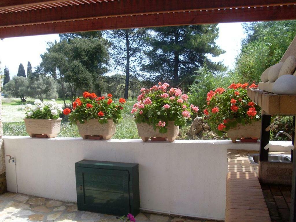 Villa Amelia Metaxáta Buitenkant foto